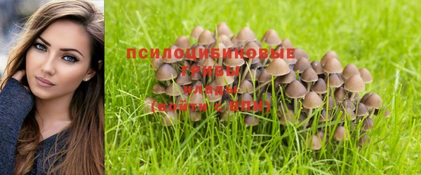 mix Переславль-Залесский
