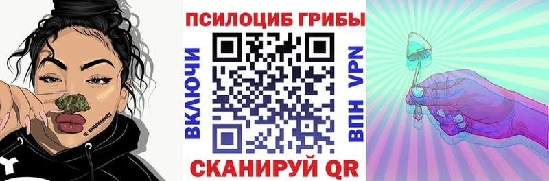 Псилоцибиновые грибы GOLDEN TEACHER  продажа наркотиков  Кисловодск 