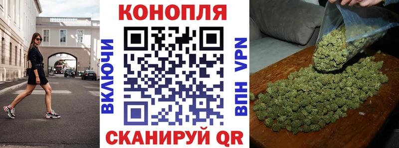 Бошки Шишки AK-47  где купить наркотик  Кисловодск 